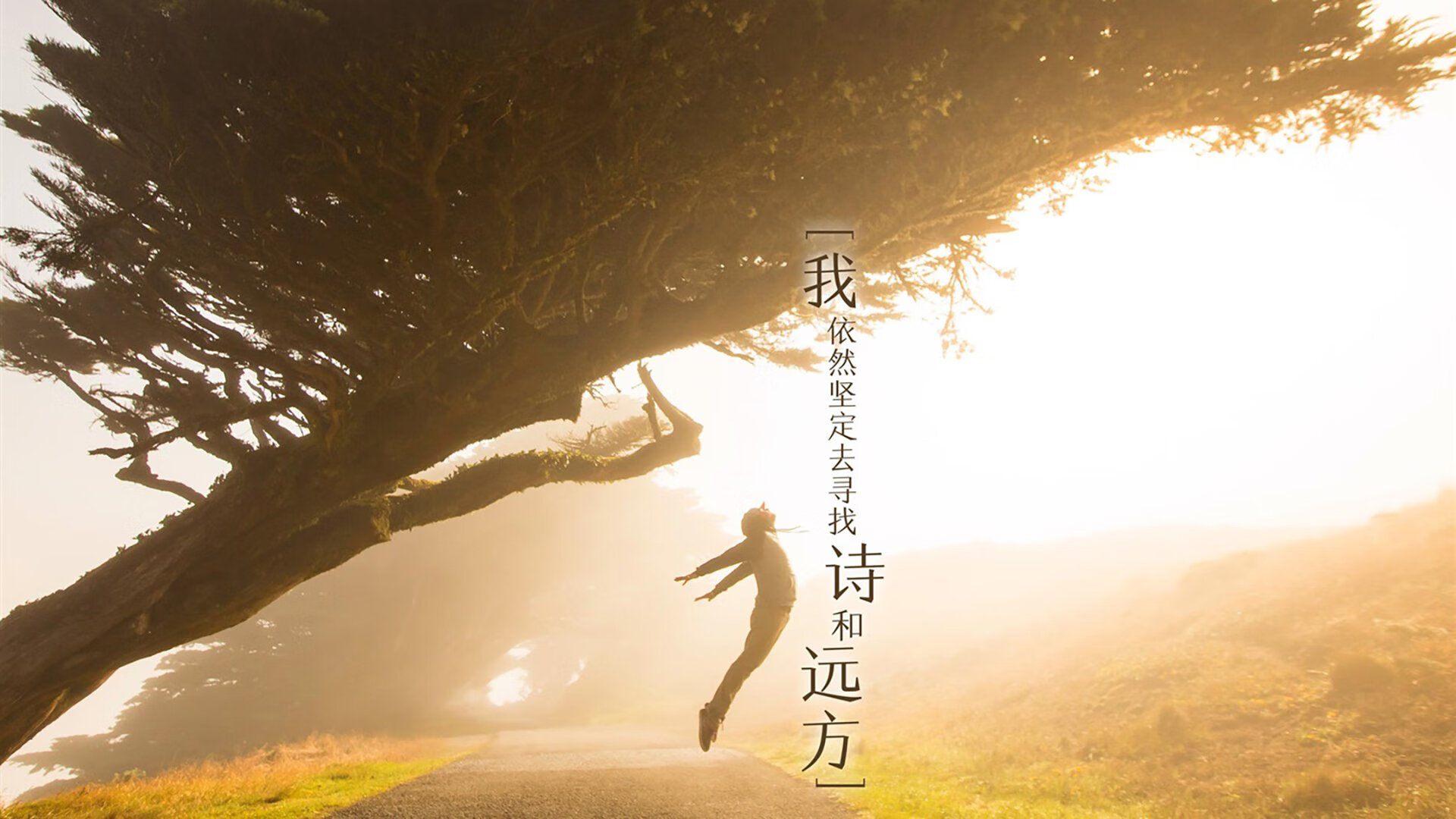 CBA下赛季最佳阵容预测,cba下赛季最佳阵容预测最新